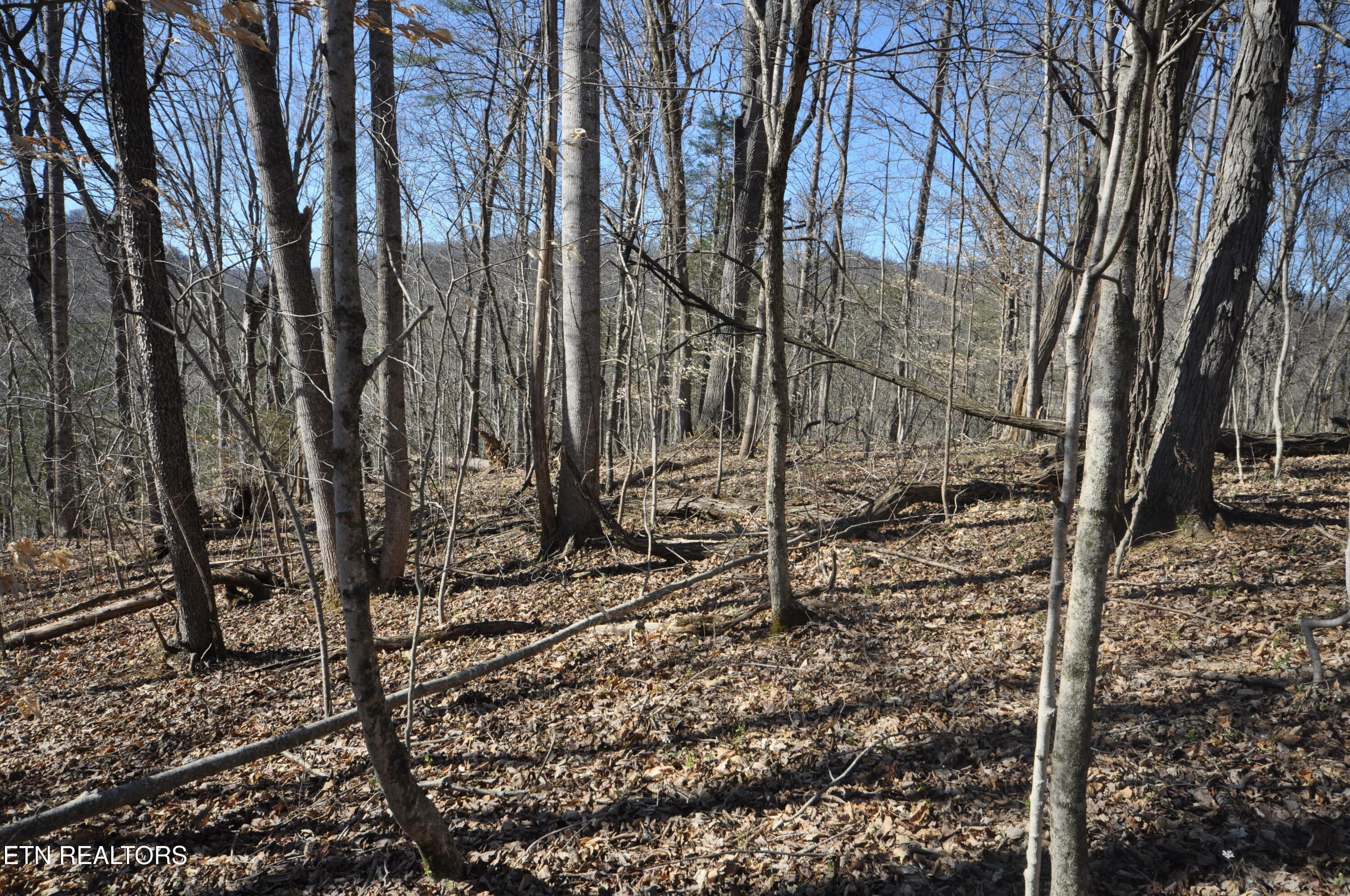 Luttrell, TN Land For Sale