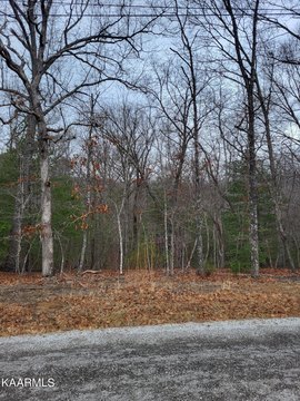 Crossville, TN Wooded Lot