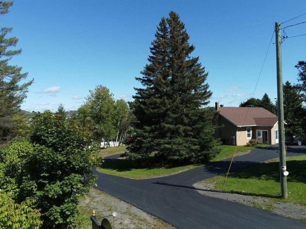 Picture 155