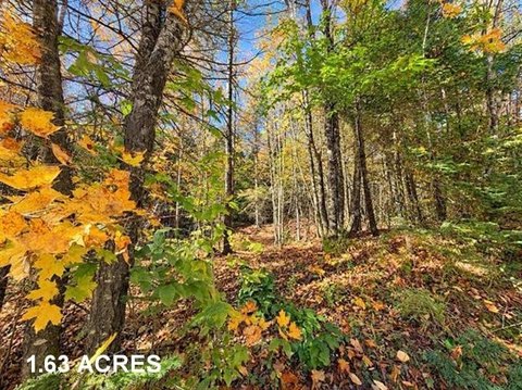 Land Near Kingdom Trails