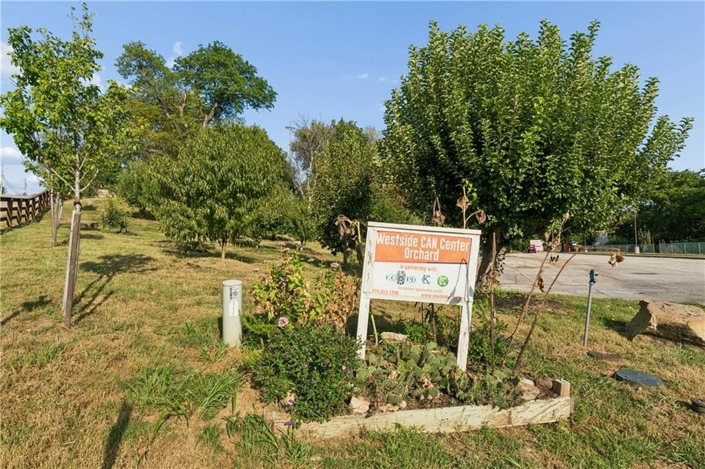 Picture 21