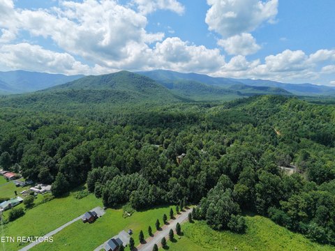 LAND - Cosby, TN