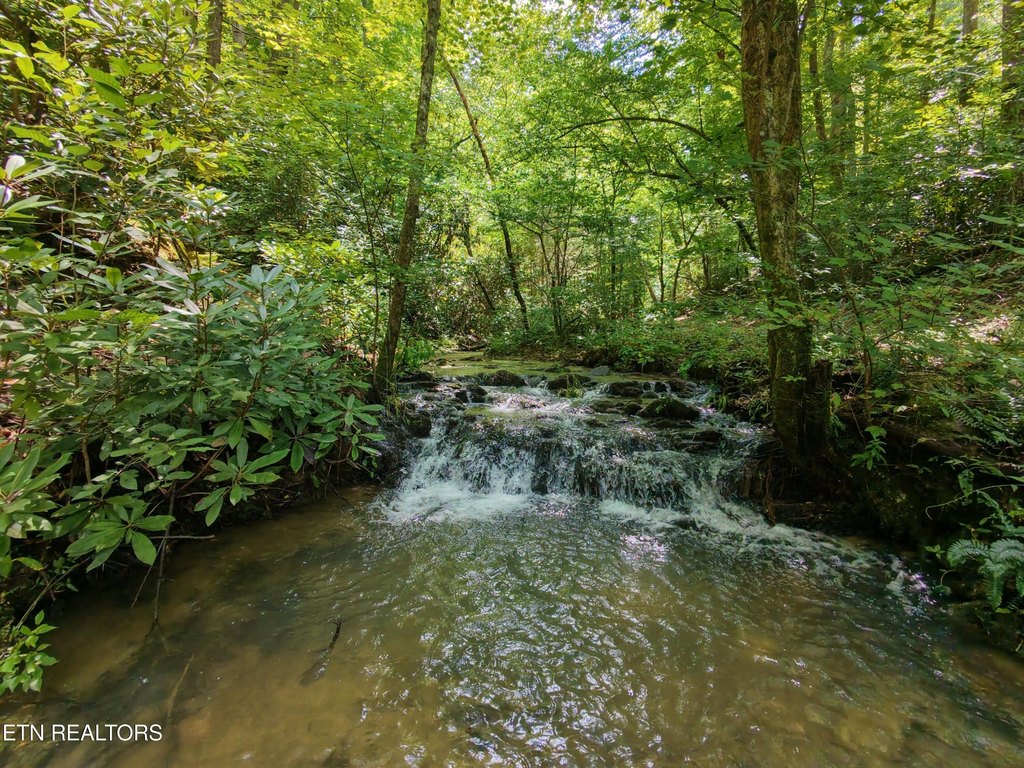 Picture 46