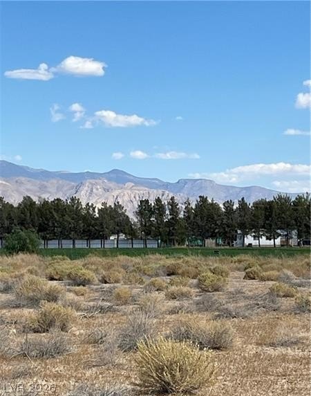 Picture 21
