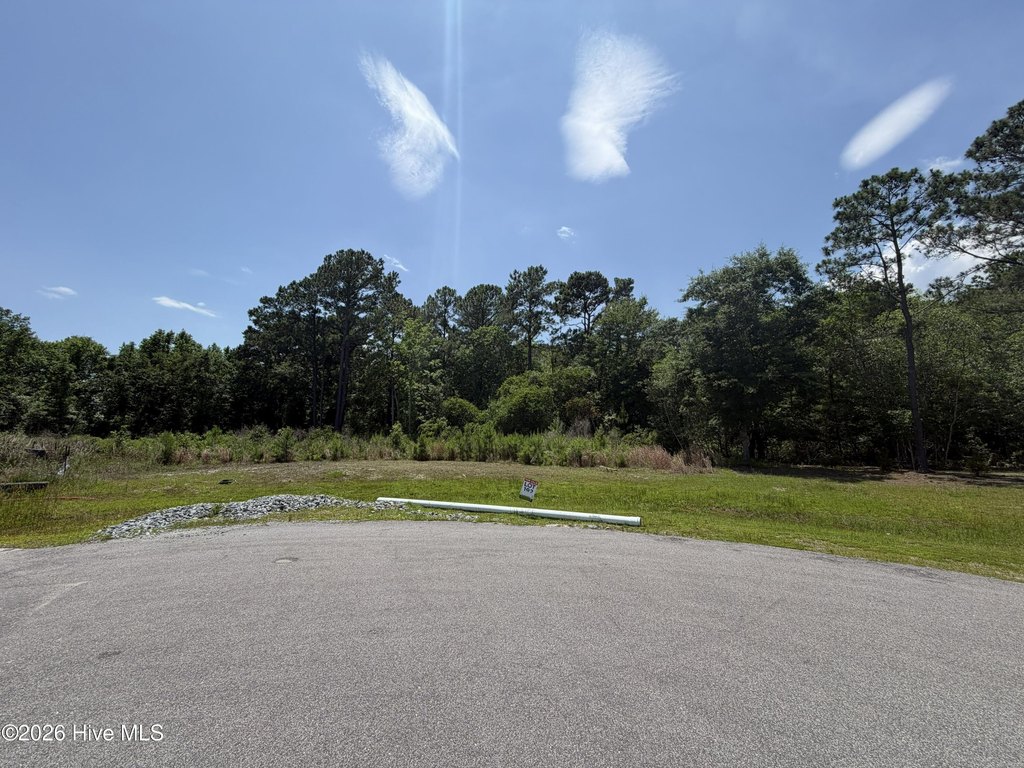 Picture 4
