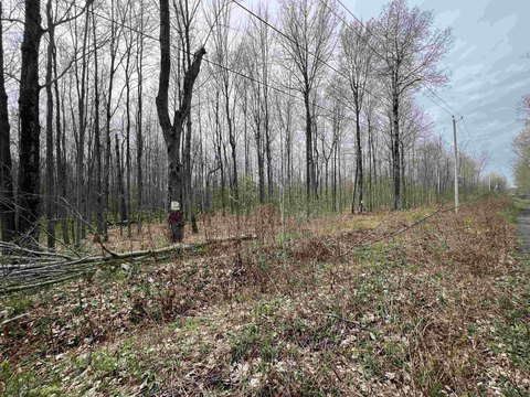 201.27 Acres of Hunting Land