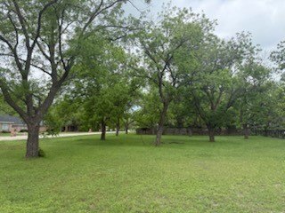 Picture 6