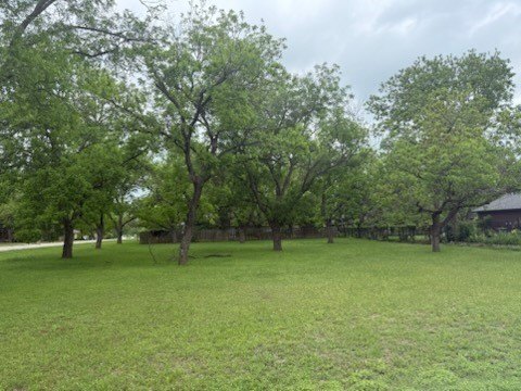 Picture 3