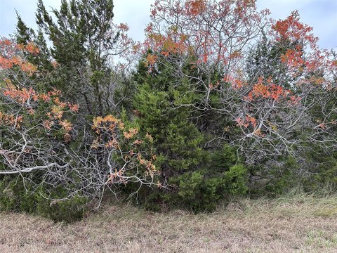 Residential Lot in White Bluff
