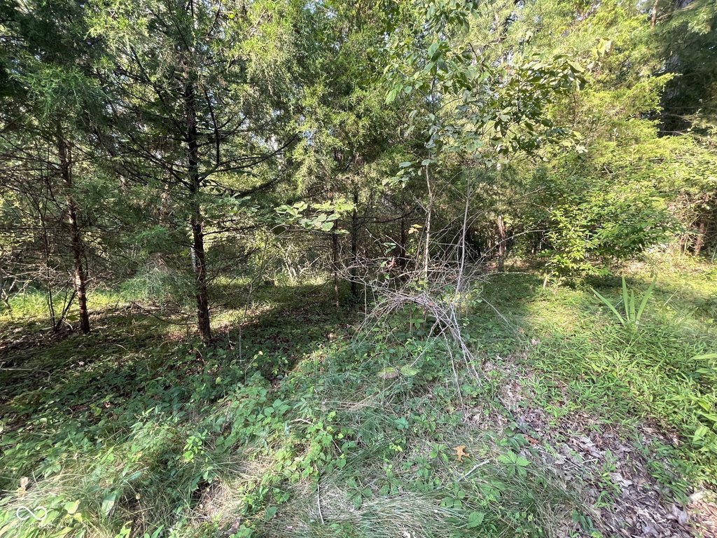 Picture 6