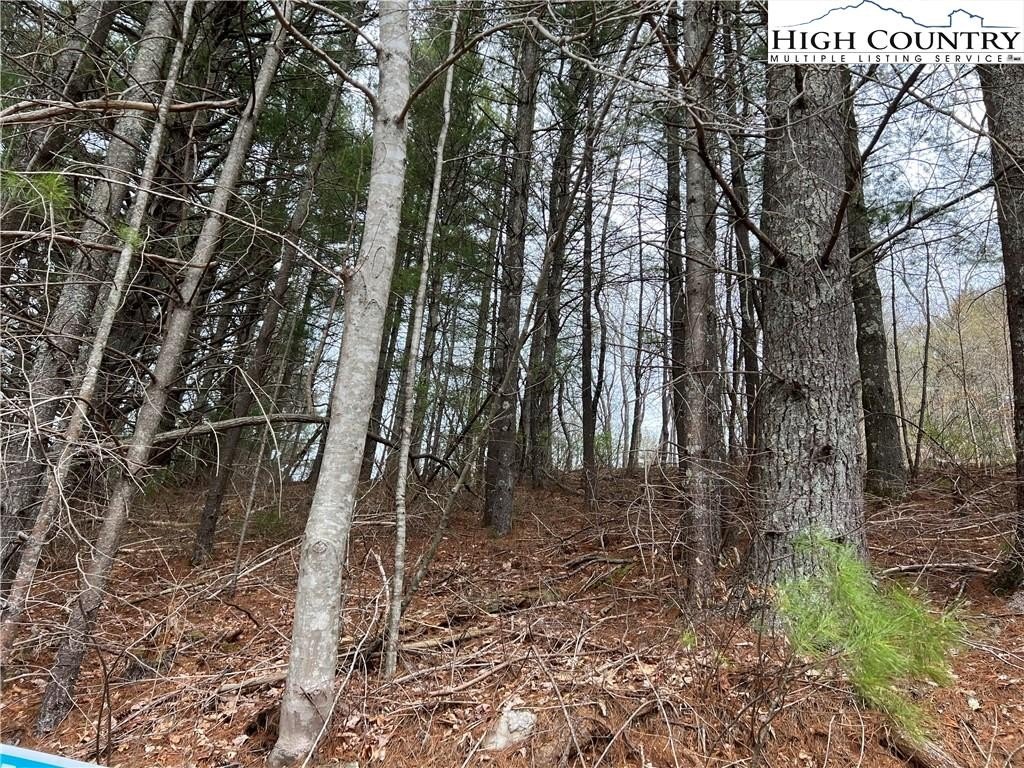 Land in Laurel Springs, NC