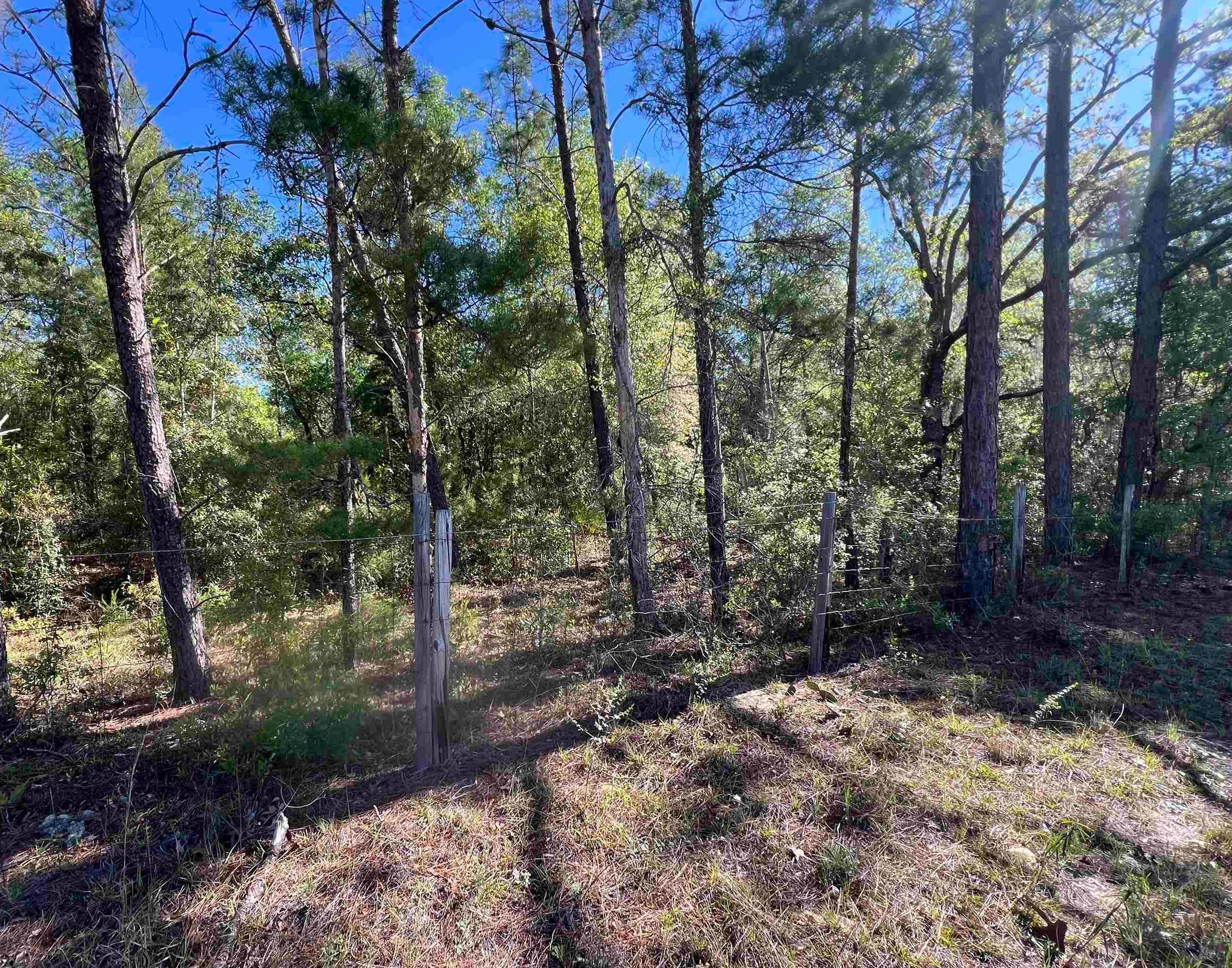87.8 Acres Hunting/Fishing Paradise