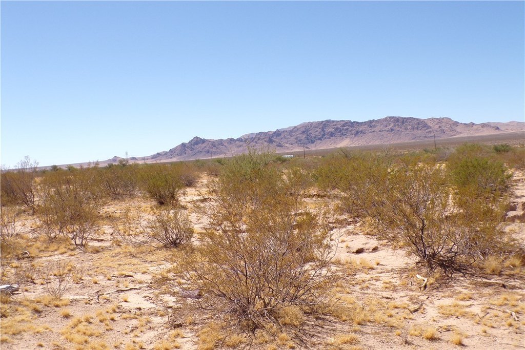 Picture 19
