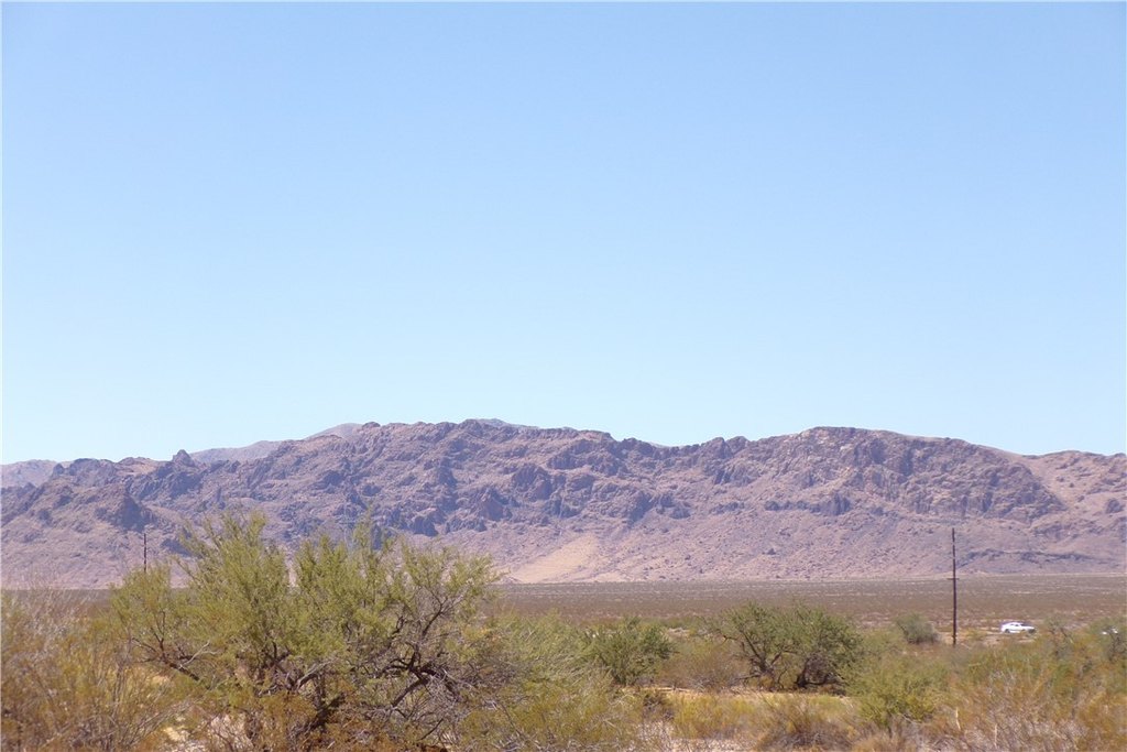 Picture 33