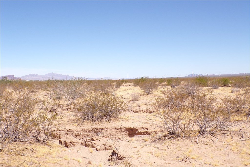 Picture 29