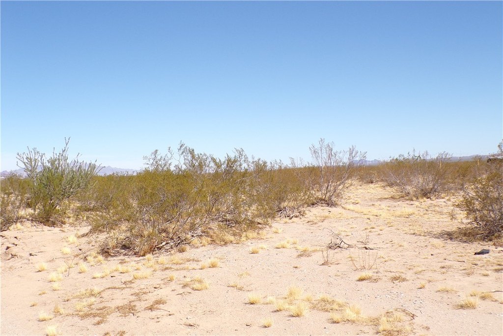 Picture 21