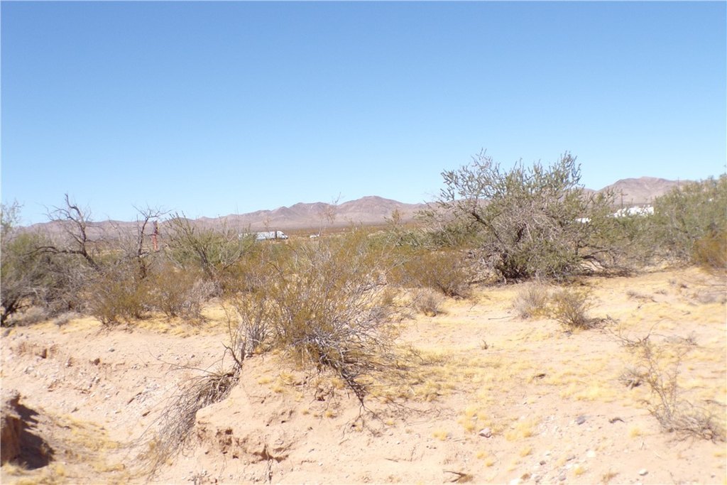 Picture 27