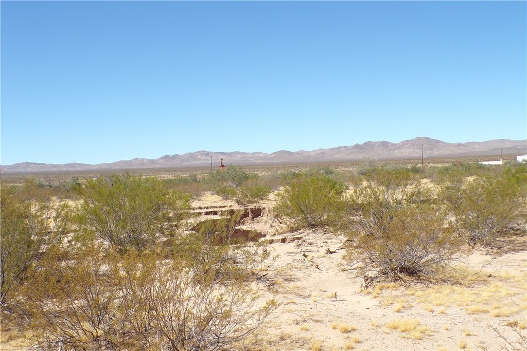Picture 18