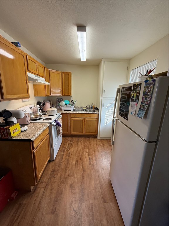 Picture 19