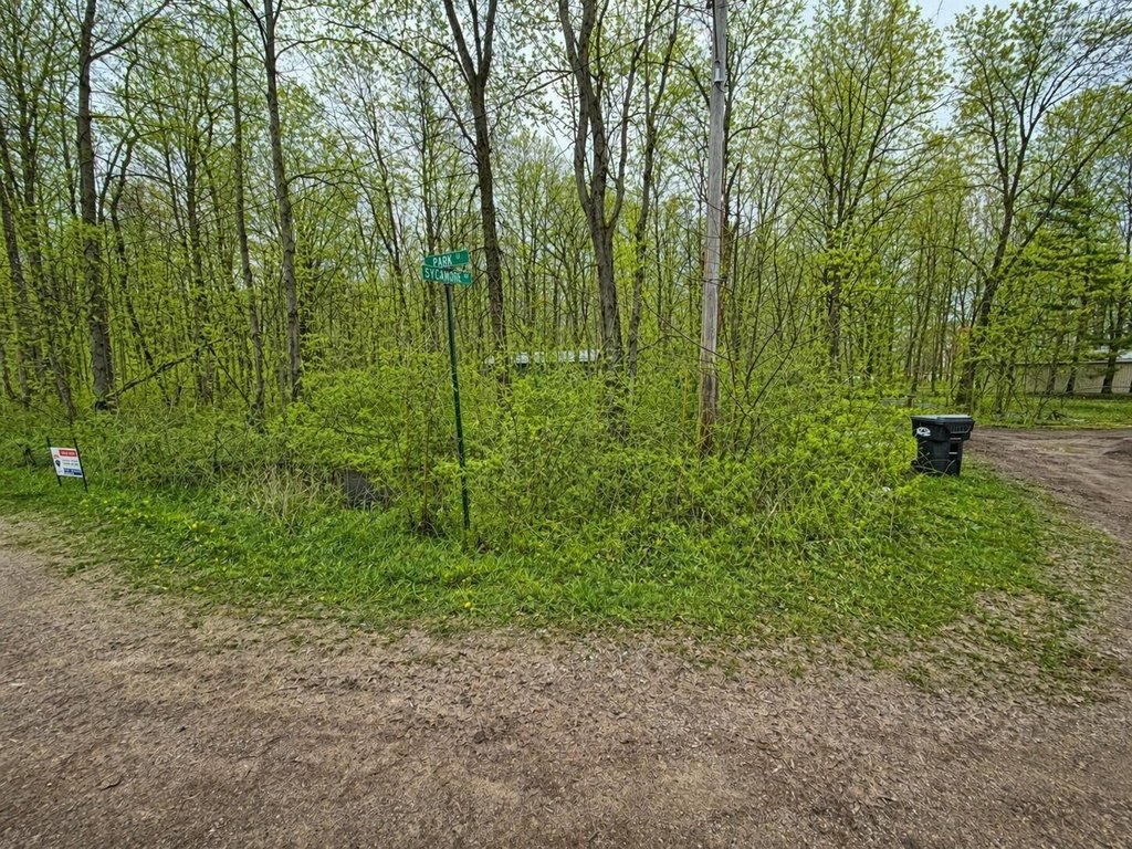 Picture 2