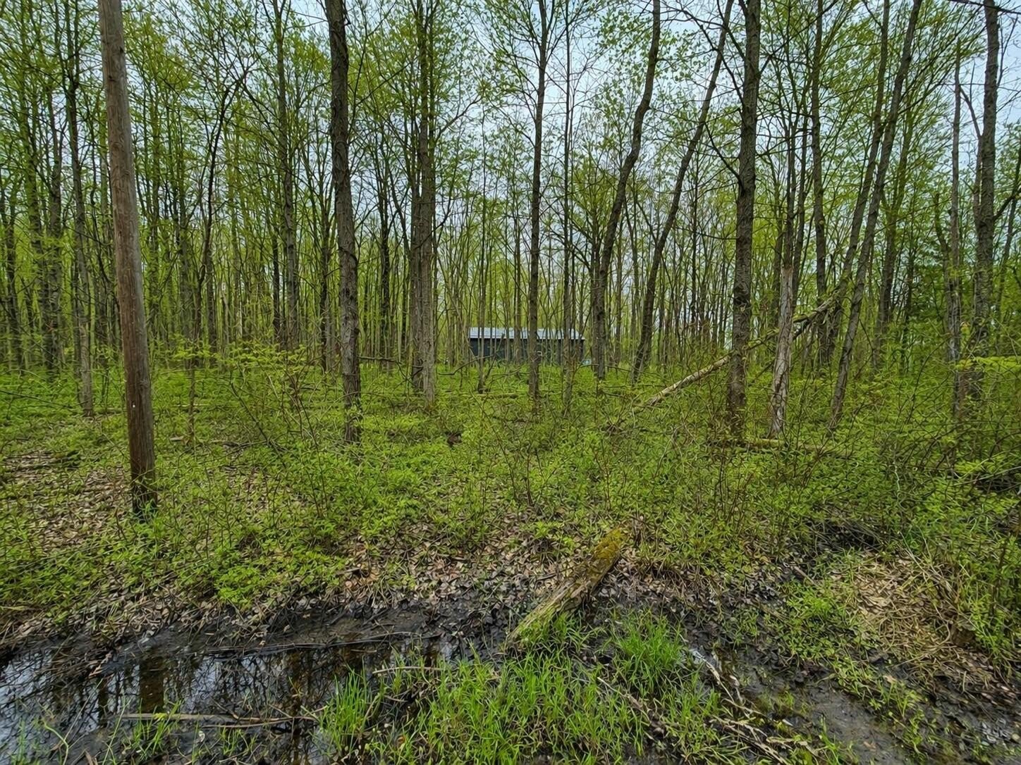 Buildable Lot Near South Scott Lake