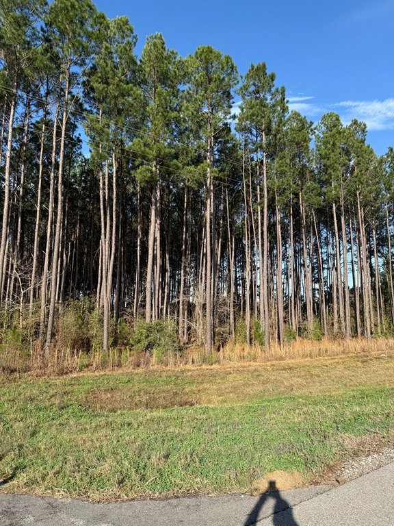 Picture 16