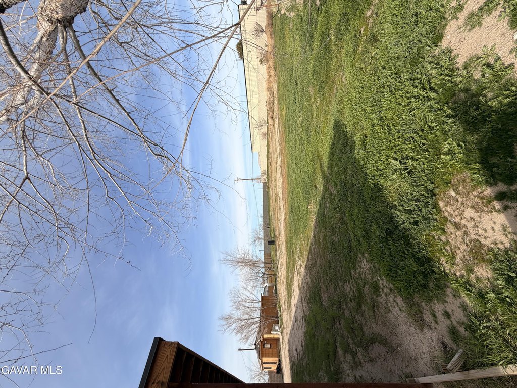 Picture 24