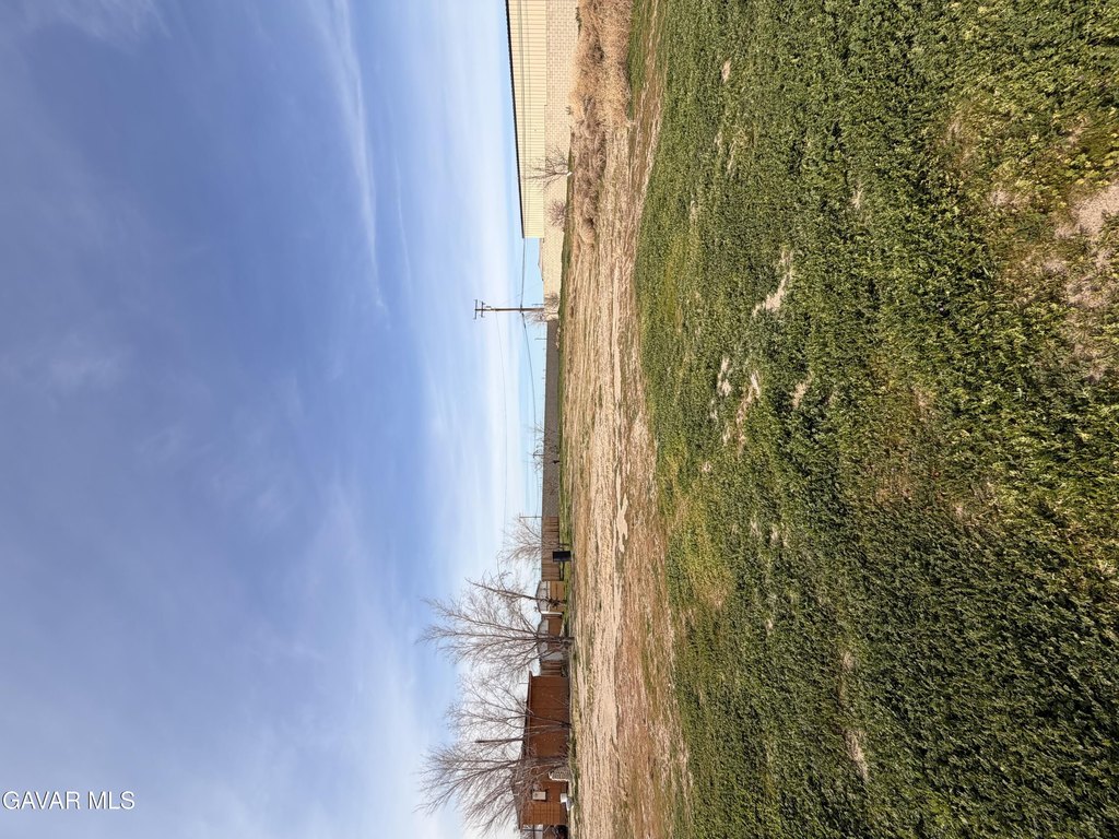 Picture 20