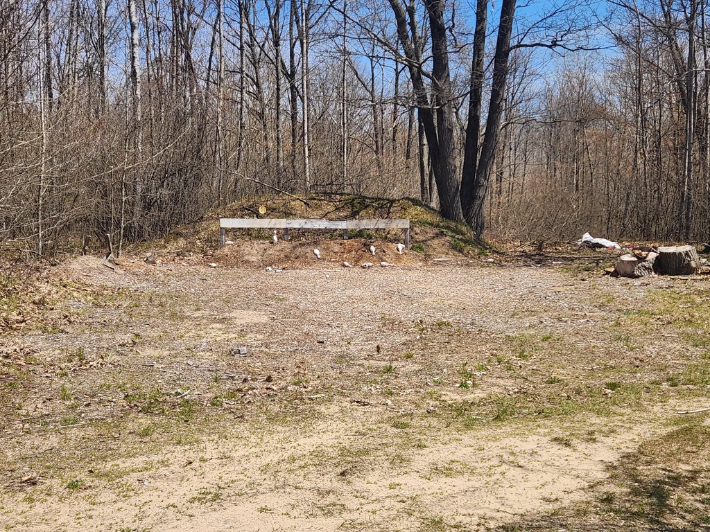Picture 28