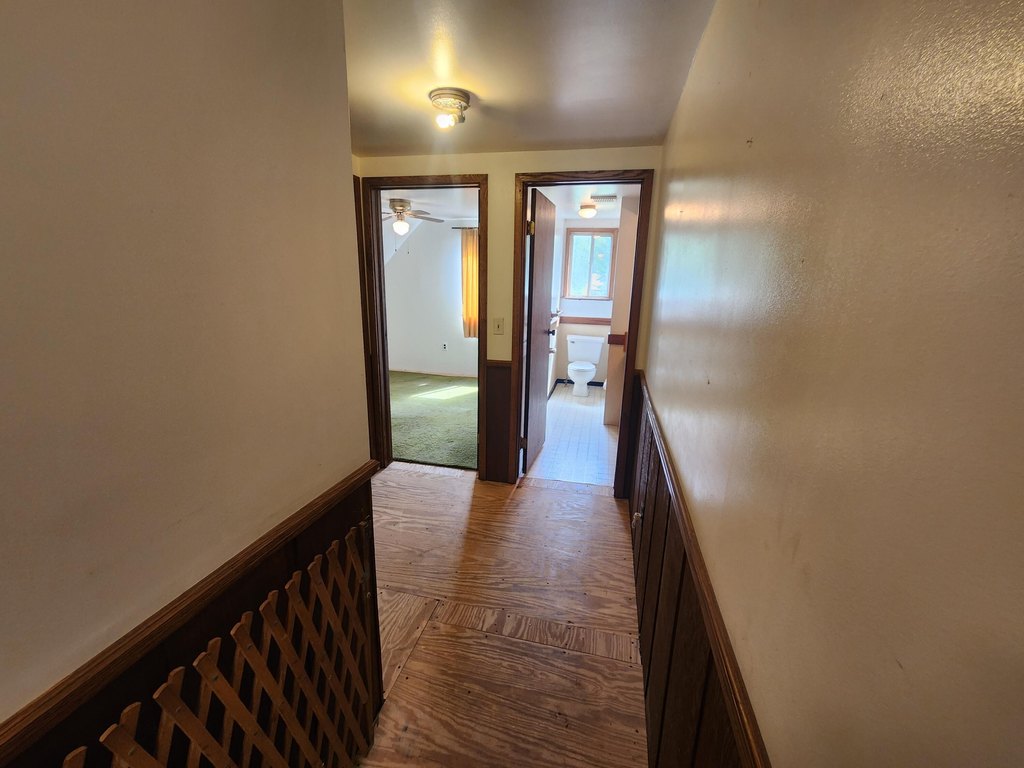 Picture 15