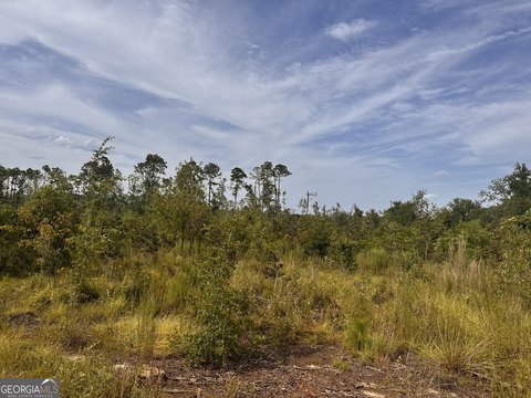 Land, Vidalia, GA