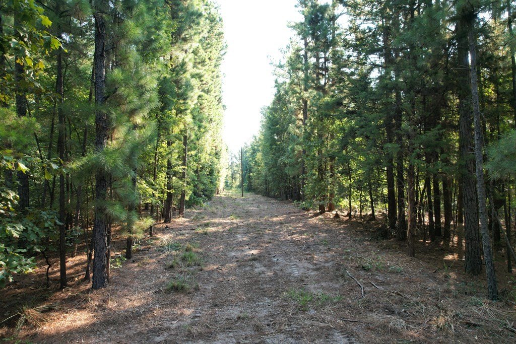 Picture 3