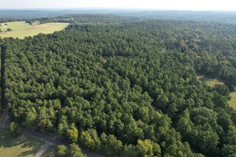 Expansive Land Tract in Grapeland