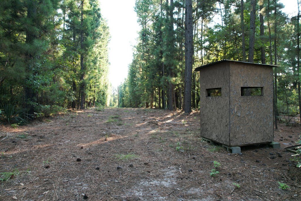 Picture 4