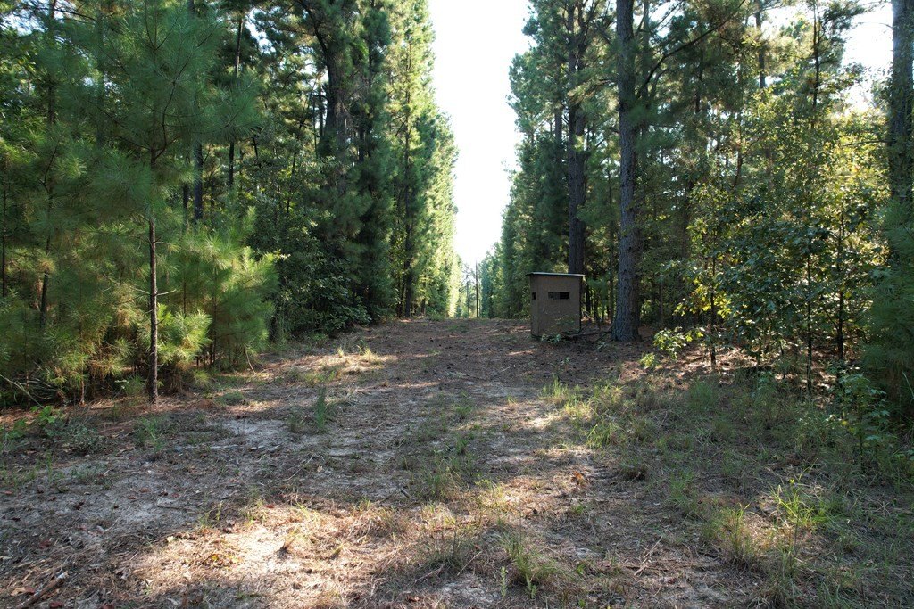 Picture 13