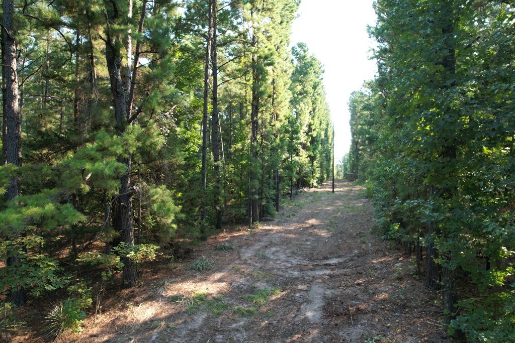 Picture 11