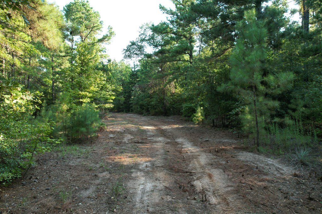 Picture 6