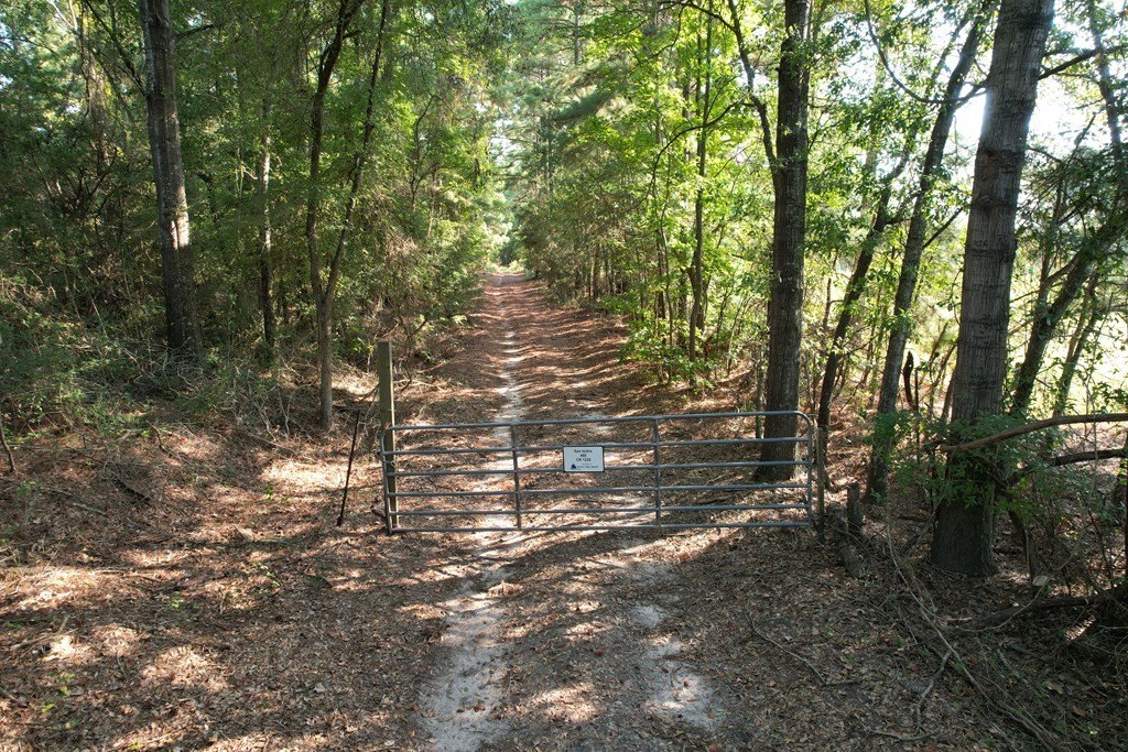 Picture 8