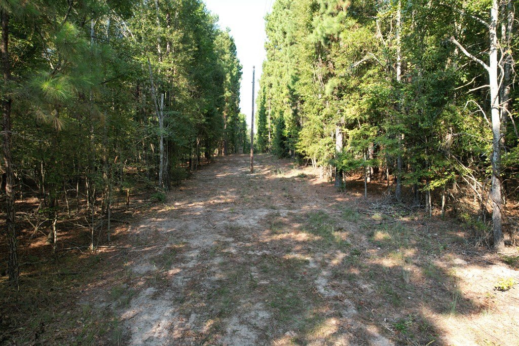 Picture 10