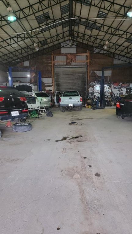 Picture 4