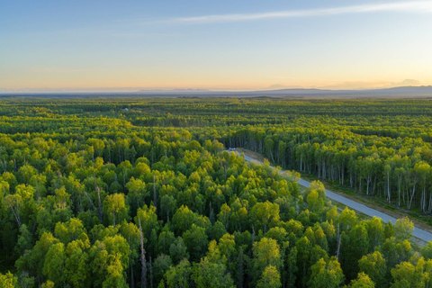 LAND - Talkeetna, AK