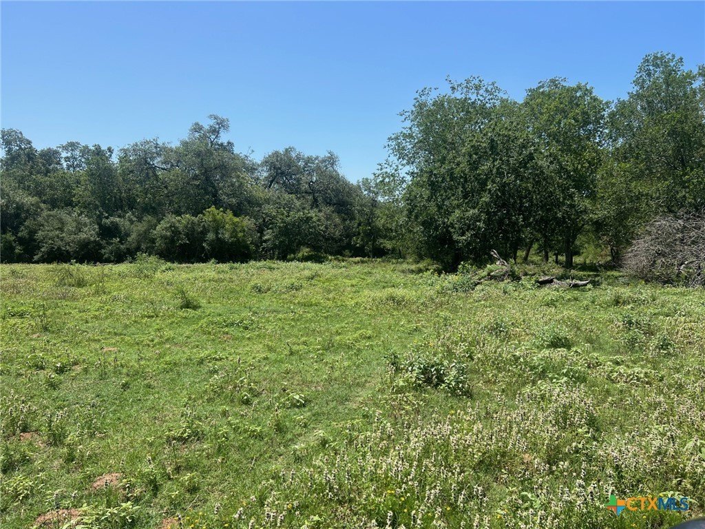 15 Acres of Rural Land
