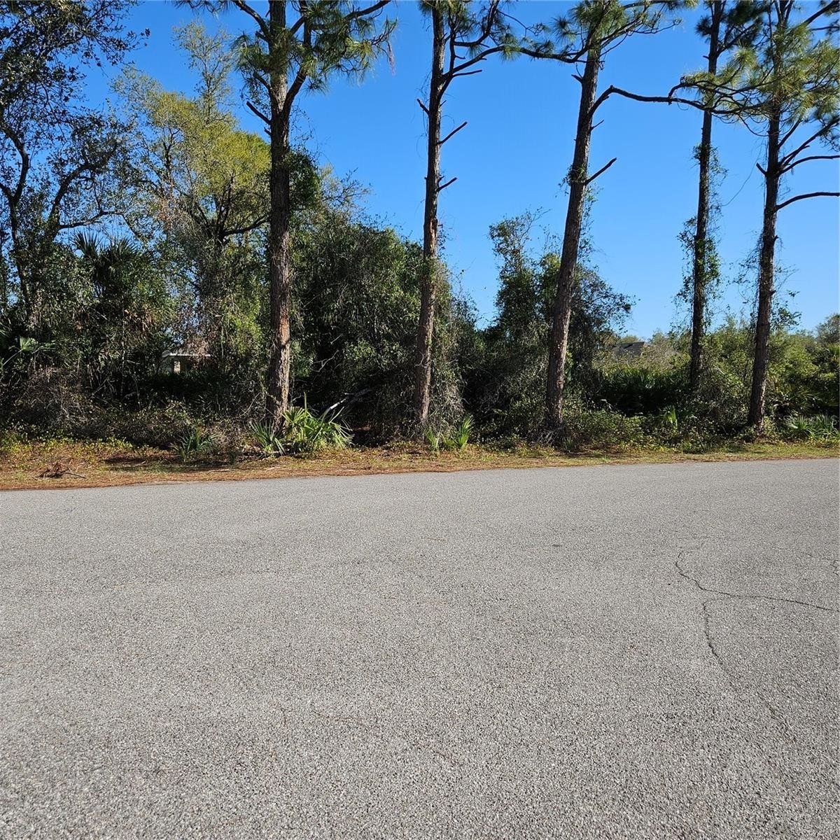 Residential Land in North Port
