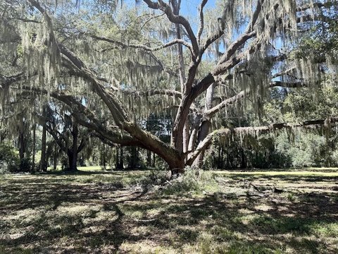 Land, Meggett, SC