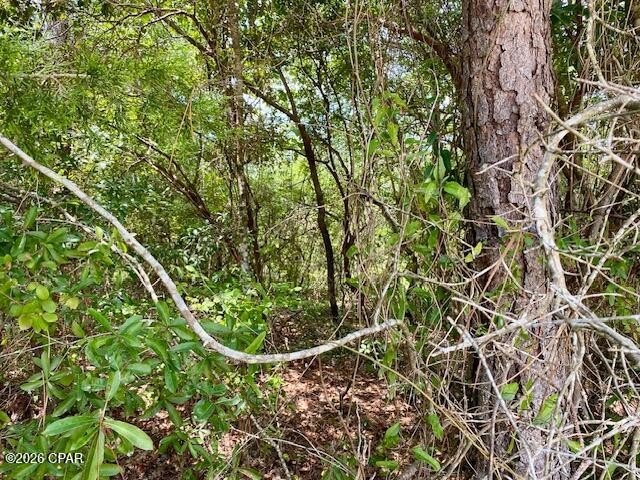 Picture 4