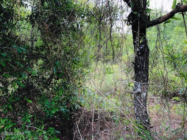 Picture 8