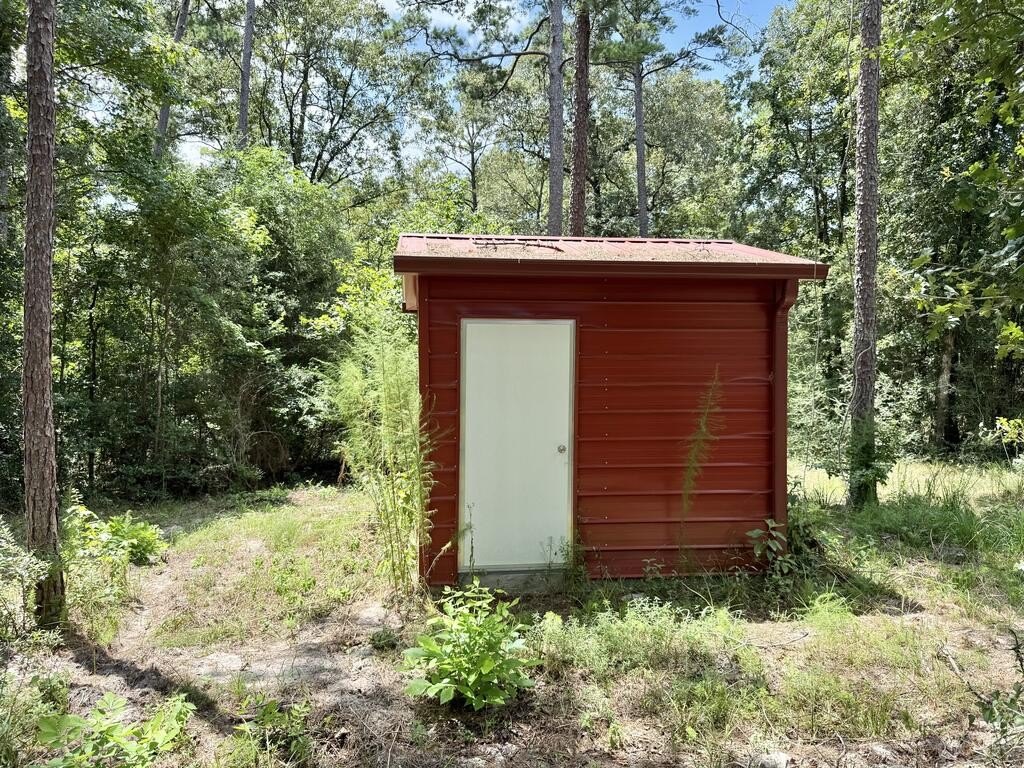 Picture 21