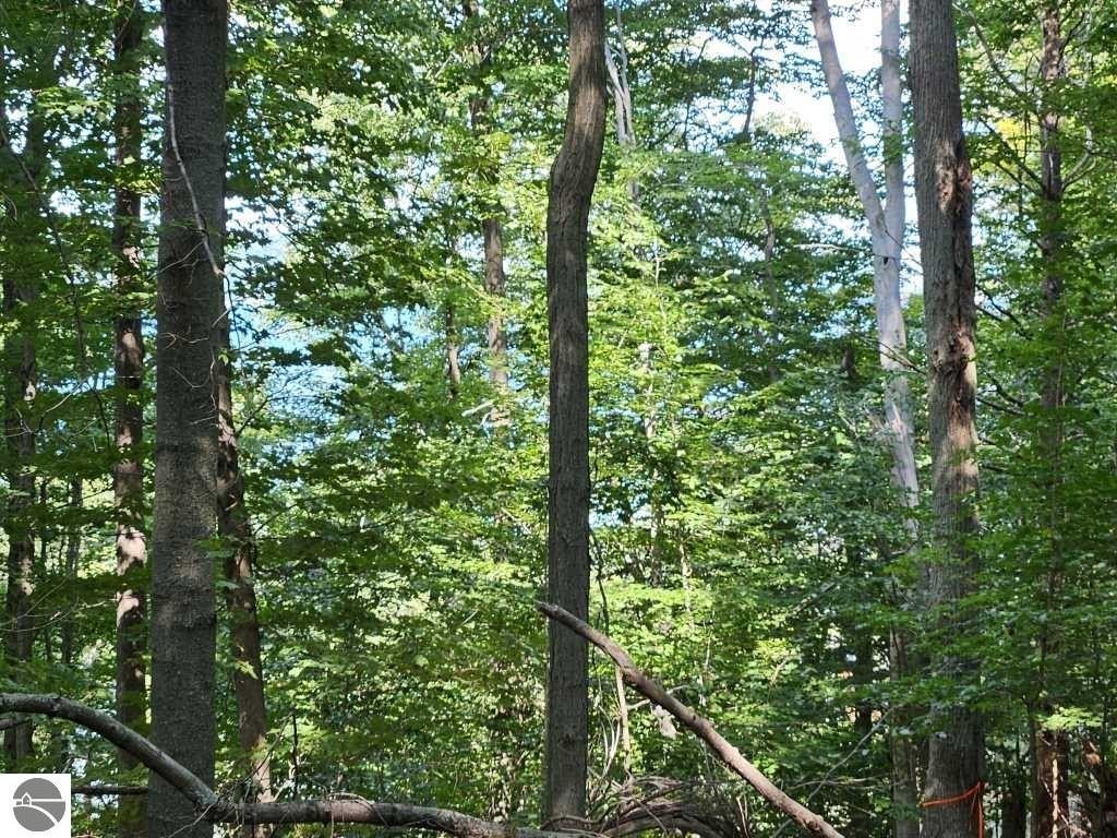 Picture 3