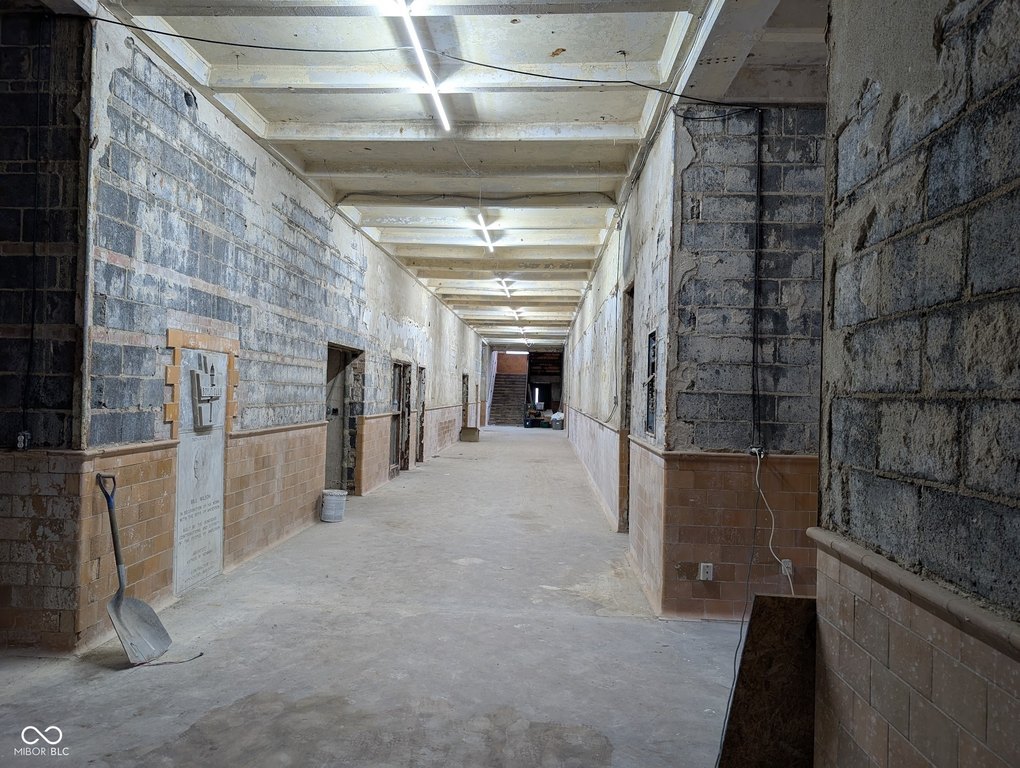 Picture 8