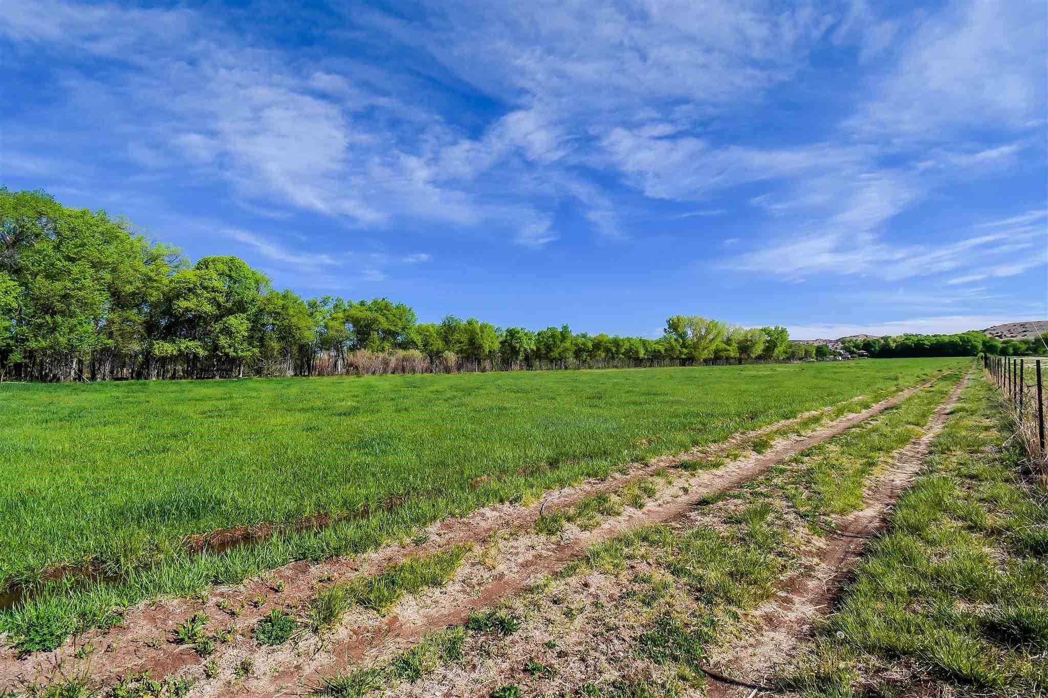 Chamita, NM Farmland Opportunity